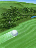 Down The Middle