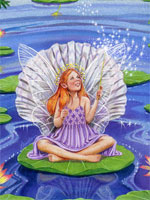 Shell Fairy