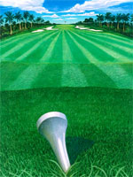 Hole in One