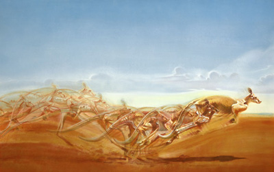 Outback